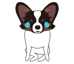 VVPet's Papillon&Phalene Friends sticker #9359868