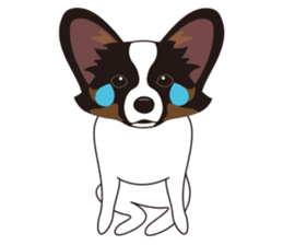 VVPet's Papillon&Phalene Friends sticker #9359868