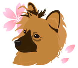 VVPet's Papillon&Phalene Friends sticker #9359875