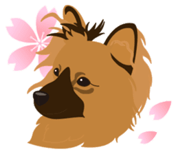 VVPet's Papillon&Phalene Friends sticker #9359875