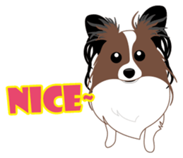 VVPet's Papillon&Phalene Friends sticker #9359880