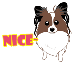 VVPet's Papillon&Phalene Friends sticker #9359880