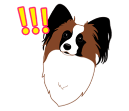 VVPet's Papillon&Phalene Friends sticker #9359884