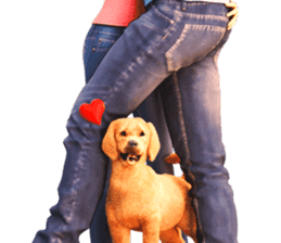 The Gorgeous Family sticker #9467735