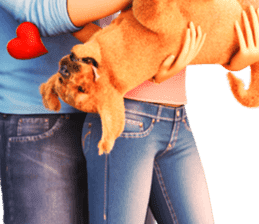 The Gorgeous Family sticker #9467743