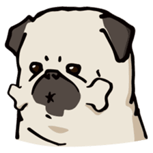 BOBO Pug's life sticker #9677667