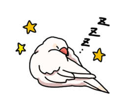 White Java sparrow sticker sticker #9734755