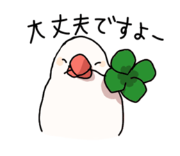 White Java sparrow sticker sticker #9734764