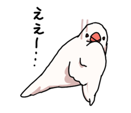 White Java sparrow sticker sticker #9734776