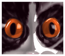 Shiny cat Koume sticker #10134535