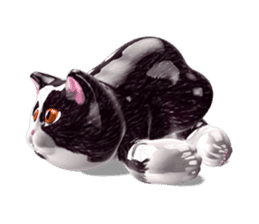 Shiny cat Koume sticker #10134537