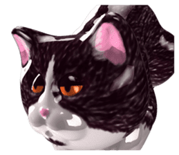 Shiny cat Koume sticker #10134539