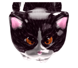 Shiny cat Koume sticker #10134544