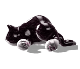 Shiny cat Koume sticker #10134552