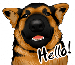 German Shepherd Dogs. sticker #10293984