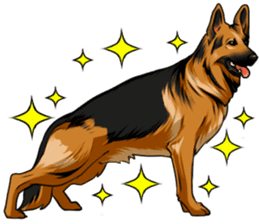 German Shepherd Dogs. sticker #10293986