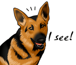 German Shepherd Dogs. sticker #10293988