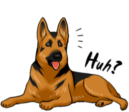 German Shepherd Dogs. sticker #10293989