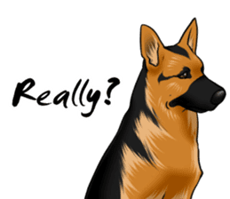 German Shepherd Dogs. sticker #10293991