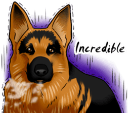 German Shepherd Dogs. sticker #10293997