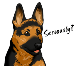 German Shepherd Dogs. sticker #10293998