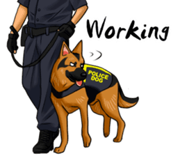 German Shepherd Dogs. sticker #10294000