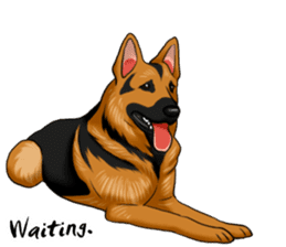 German Shepherd Dogs. sticker #10294006