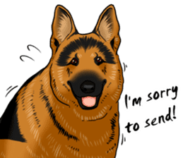 German Shepherd Dogs. sticker #10294016