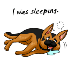 German Shepherd Dogs. sticker #10294021