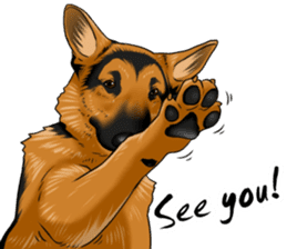 German Shepherd Dogs. sticker #10294022