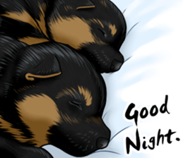 German Shepherd Dogs. sticker #10294023