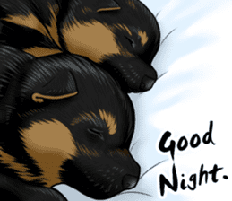 German Shepherd Dogs. sticker #10294023