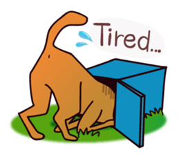 my lovely dog "Cookie" (English) sticker #10311094