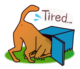 my lovely dog "Cookie" (English) sticker #10311094