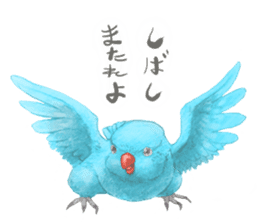 There are various reasons in bird sticker #10410476