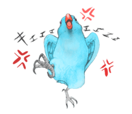 There are various reasons in bird sticker #10410498