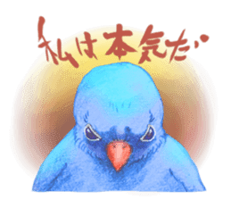 There are various reasons in bird sticker #10410499