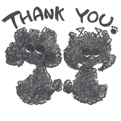 Of twins toy poodle Diggi and Dilley