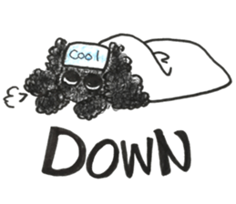 Of twins toy poodle Diggi and Dilley sticker #10706004