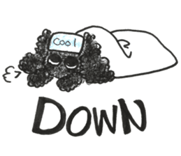 Of twins toy poodle Diggi and Dilley sticker #10706004