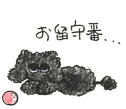 Of twins toy poodle Diggi and Dilley sticker #10706009