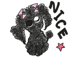 Of twins toy poodle Diggi and Dilley sticker #10706011