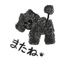 Of twins toy poodle Diggi and Dilley sticker #10706022