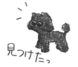 Of twins toy poodle Diggi and Dilley sticker #10706029