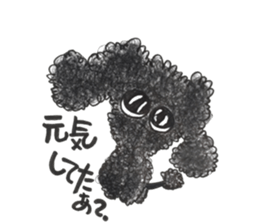 Of twins toy poodle Diggi and Dilley sticker #10706032