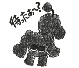 Of twins toy poodle Diggi and Dilley sticker #10706035