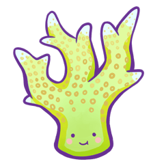 Cute Corals