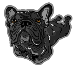 Xiu Box sticker #11106155