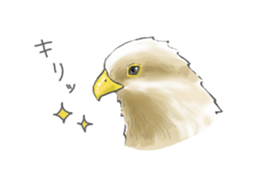 Sweet and bird sticker #11362956