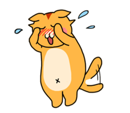 Fun friends of orange cat and white cat sticker #11465976